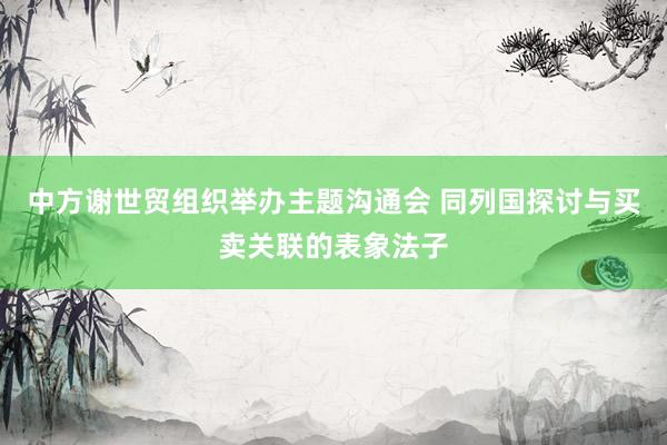 中方谢世贸组织举办主题沟通会 同列国探讨与买卖关联的表象法子