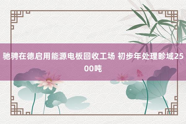 驰骋在德启用能源电板回收工场 初步年处理畛域2500吨