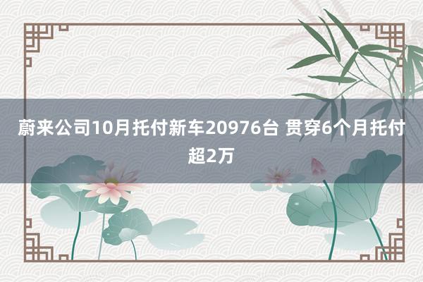 蔚来公司10月托付新车20976台 贯穿6个月托付超2万