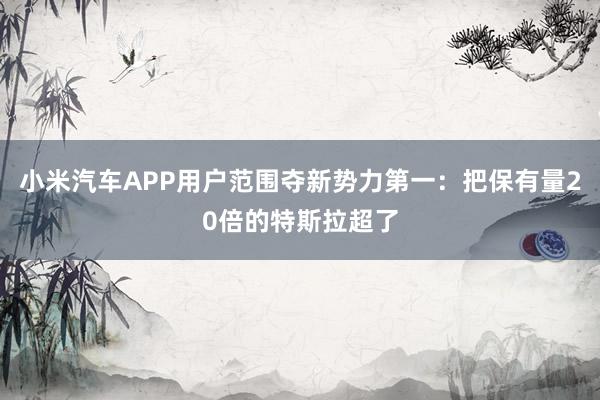 小米汽车APP用户范围夺新势力第一：把保有量20倍的特斯拉超了