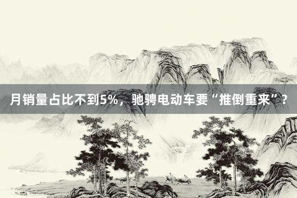 月销量占比不到5%,驰骋电动车要“推倒重来”?