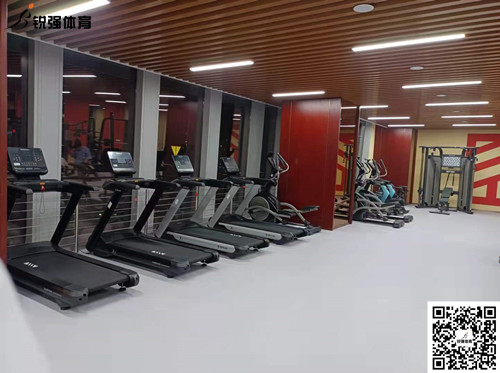 CQ9电子完成的济南某部门单位健身房