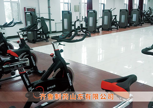​CQ9电子为齐鲁制药呼和浩特分公司打造健身房